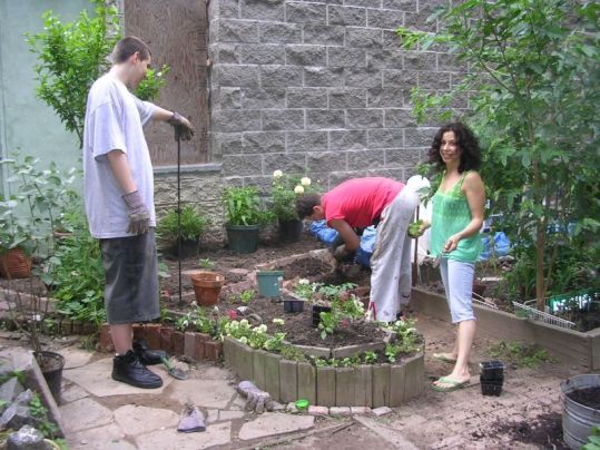 Claudia, Niko & Al do some planting