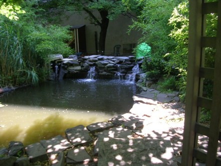 Koi pond falls